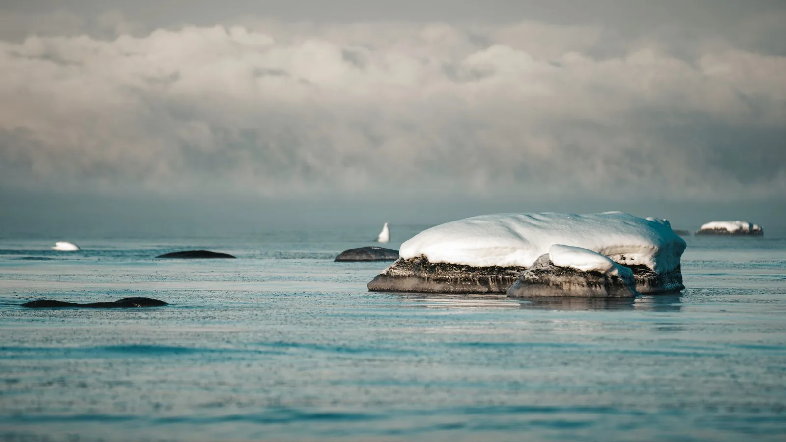 AI-generated illustration of narwhals surfacing among sea ice in the Arctic ocean