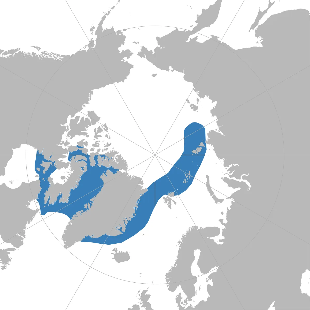 Map showing the circumpolar Arctic range of the narwhal (Monodon monoceros)